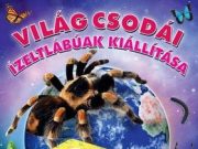 Mindenkit szeretettel várunk a Móricz Zsigmond Művelődési Házba! A belépőjegy mi…