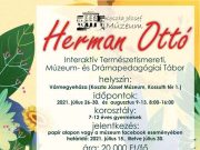 Tartsatok nyáron ismét a Koszta József Múzeummal!…