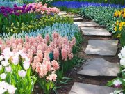 SZENTES VÁROS ÖNKORMÁNYZATÁNAK KÖZLEMÉNYE:…