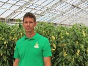 Fejtörést és ráncfeltöltést okozhat a növényvédelem…