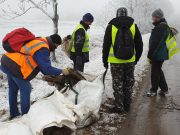 Rocky meg a Kőbambi…