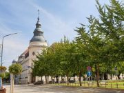 Fogadónap a város vezetőinél…