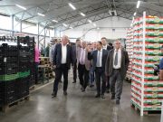 Középpontban az agrárexport lehetőségei…