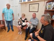 Ugatástól hangos a múzeum – Kutyabarát kiállítóhely lett a közgyűjtemény…