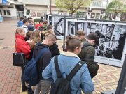 Szentesre érkezett a kamarai fotókiállítás…