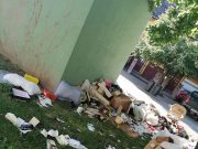 Ismeretlen tettes ellen tett feljelentést az önkormányzat…