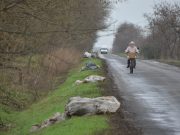 A lapistói út melletti erdősávot megtisztították…