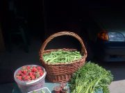 Megtaláltuk Szentes legökotudatosabb családjait…