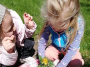 Kertészkedés a nagytőkei óvodában…