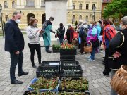 Ötezer palánta a Nagymamák tavaszán…