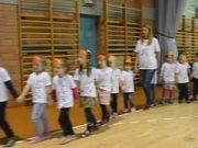 Háromszáz liba egy sorban (videó)…