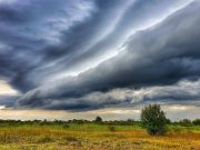 Van kedved szavazni…