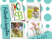 Pollenek a levegőben…