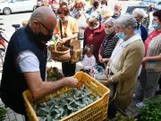 Nagymamák tavasza…