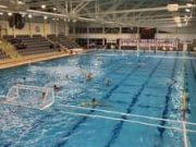 Hamarosan kezdünk a Vasas ellen…