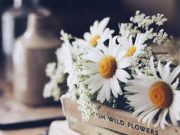 A könyvek néma mesterek….