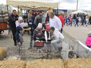 Mancsokkal a boldog gyermekekért…