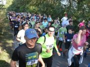 Közzétette: Vidovics Ferenc…