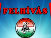 Magyar Birkózó Szövetség