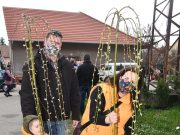 Újélet-fák a szentesi újszülötteknek…