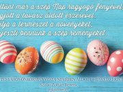 Közzétette: Sebők Tamás…