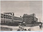 Szentes arculata régen és ma…