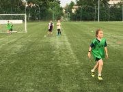 A heti munka is elkezdődött……..