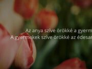 „Mert mindenik tükör volt,…