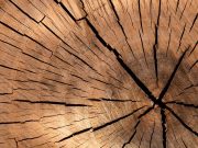 Lakossági tájékoztató az új környezetvédelmi helyi rendeletről…