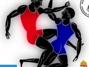 Magyar Birkózó Szövetség