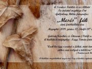 MESÉS FÁK fotókiállítás…