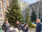 Hódmezővásárhelyre, a Király családhoz került a szentesi hármas ikrek babakocsij…