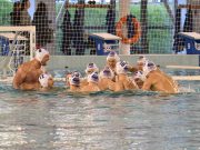 7-1-re nyertük a párharcot…