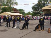 WIKFILD bemutató…