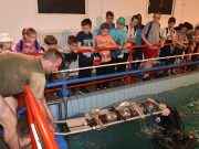 Műszakiak Napja 2019 (képek)…