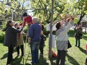 Tojásfa díszítéssel indult a húsvétra hangolódás…