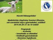 Húsvéti Ráhangolódás a Madárkórházban!…