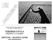 Terebesi Gyula kiállítása Szentesen…