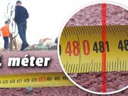 481 méter a futópálya!…