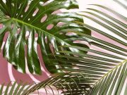 Szentesi Művelődési Központ megváltoztatta a borítóképét….