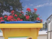 Lakossági használt sütőolaj-begyűjtés…