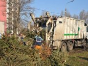 Tájékoztató a fenyőfagyűjtés rendjéről…