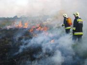 Tűzgyújtási tilalom már Csongrád megyében is!…