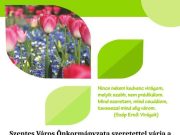 Virágkiállítás és vásár…