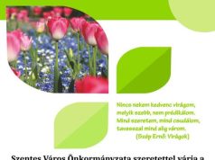 Virágkiállítás és vásár…