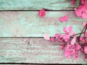 A Szentesi Művelődési Központ oldal frissítette a telefonszámát….