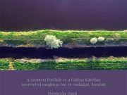 LÉGBŐL KAPOTT FOTOGRÁFIÁK…