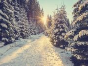 Kalendárium – december (I. rész) Karácsony hava – Bak hava- Télelő hó…