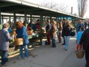 A piacokra nem vonatkoznak az idősávok – Szabó Zoltán Ferenc polgármester közle…