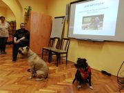 Minden pénteken a Gyermekkönyvtárban délután 5 órai kezdettel kutyás klubon vehe…